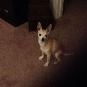 Meet your Posher, Nancy